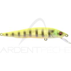 Poisson nageur MEGABASS Vision 95 GP See through chart gill