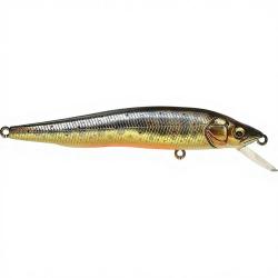Poisson nageur MEGABASS Vision 95 Takumi iwana