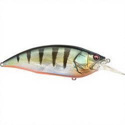 Poisson nageur MEGABASS Big M 4.0 GG Red fin perch SP-C