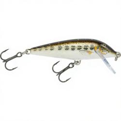 Poisson nageur RAPALA Countdown 07 MD