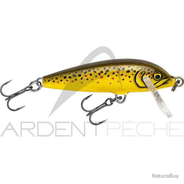 Poisson nageur RAPALA Countdown 07 ATR