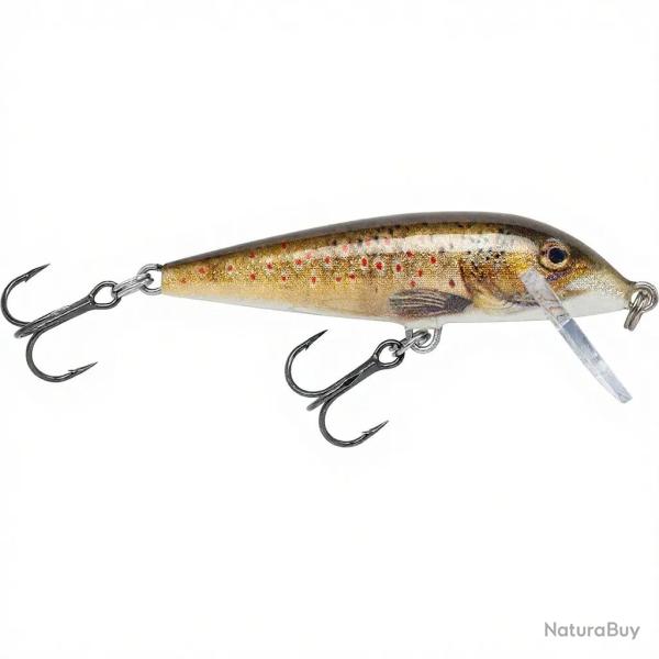 Poisson nageur RAPALA Countdown 09 TRL