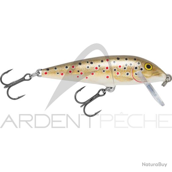 Poisson nageur RAPALA Countdown 11 TR