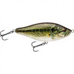 Poisson nageur BIWAA Raffal 130 01 Real bass