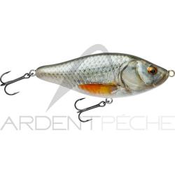 Poisson nageur BIWAA Raffal 130 38 Roach