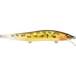 Poisson nageur MEGABASS Vision 110 LBO SW GG Gobie