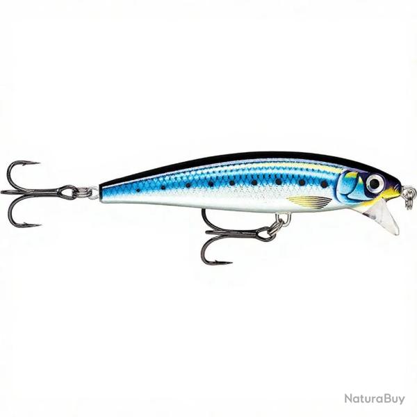 Poisson nageur RAPALA X Rap magnum cast HDBSRD