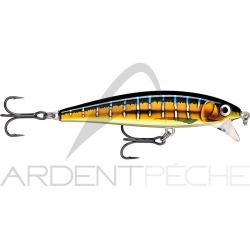 Poisson nageur RAPALA X Rap magnum cast HDSFU