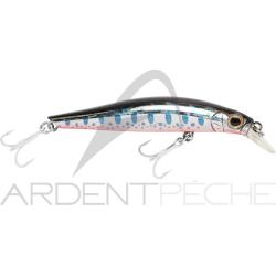 Poisson nageur JACKSON Artist 65 HW OY