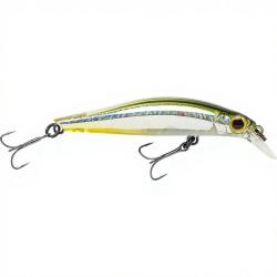 Poisson nageur JACKSON Artist 65 HW SSS