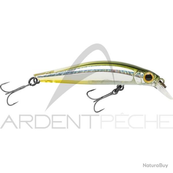 Poisson nageur JACKSON Artist 65 HW SSS