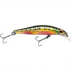 Poisson nageur JACKSON Artist 65 HW Vairon nuptial