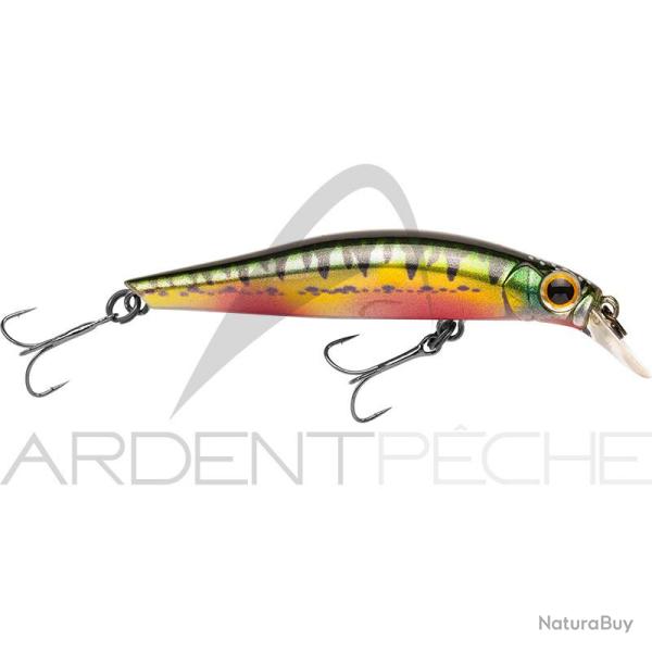 Poisson nageur JACKSON Artist 65 HW Vairon nuptial