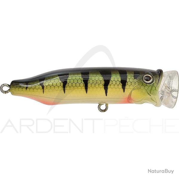 Poisson nageur TACKLE HOUSE Feed popper 70 Perch