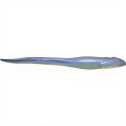 Leurre souple MEGABASS Hazedong 3 Ghost shad/Solid