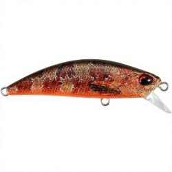 Poisson nageur DUO Spearhead ryuki 60 S ACCZ242 Blennie OB