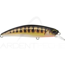 Poisson nageur DUO Spearhead ryuki 60 S CCCZ431 Vairon UV