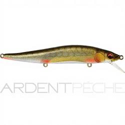 Poisson nageur MEGABASS Vision 110 FW suspending Rotengle