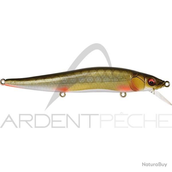 Poisson nageur MEGABASS Vision 110 FW suspending Rotengle