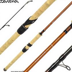 Canne DAIWA Exceler toc 393 ML CF