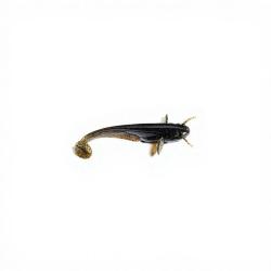 Leurre souple FISHUP Catfish 3 43