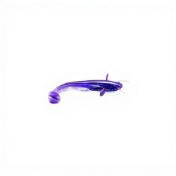 Leurre souple FISHUP Catfish 3 60