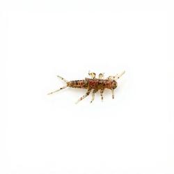 Leurre souple FISHUP Stonefly 0.75 45
