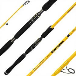 Canne ILLEX Ashura Element rider X5 S 230 H Korrigan