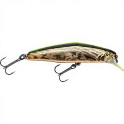 Poisson nageur SMITH D Coax 65 08