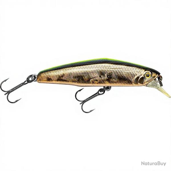 Poisson nageur SMITH D Coax 65 08