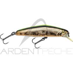 Poisson nageur SMITH D Coax 51 08