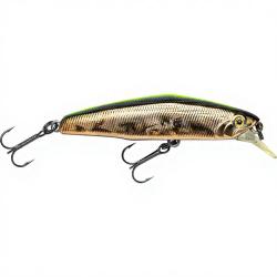 Poisson nageur SMITH D Coax 51 08