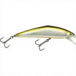 Poisson nageur SMITH D Contact 110 07