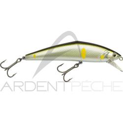 Poisson nageur SMITH D Contact 110 14