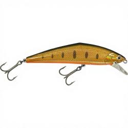 Poisson nageur SMITH D Contact 110 23