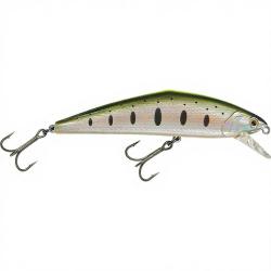 Poisson nageur SMITH D Contact 110 40