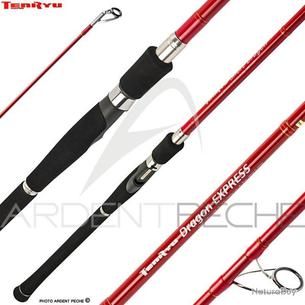 Canne TENRYU Dragon express
