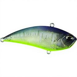 Poisson nageur DUO Realis apex vibe tune 68 DEA3341 AM Edge