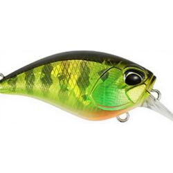 Poisson nageur DUO Crank mid roller 40F AJA3055 Chart gill halo