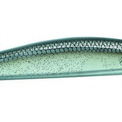 Poisson nageur ENGAGE Loader minnow FW 115 SP BKS