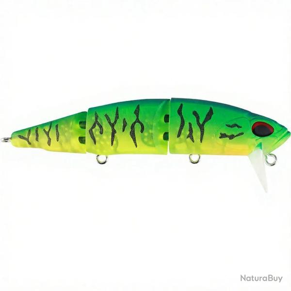 Poisson nageur Rozante perj 95 F CCC3263 GA Tiger