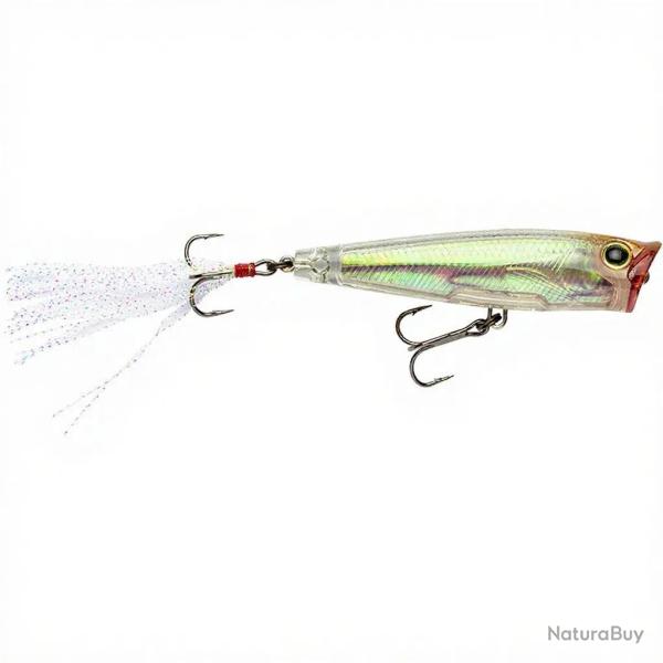 Poisson nageur YO ZURI 3DR Popper 75 RGLM Glass minnow