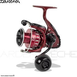 Moulinet spinning DAIWA BG RR LT ARK 8000 P