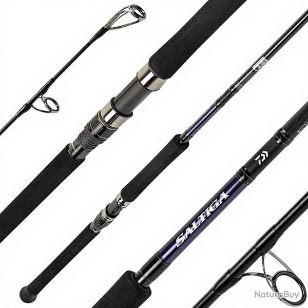 Canne spinning DAIWA Saltiga casting 710 8