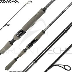 Canne spinning DAIWA Saltist AGS III Seabass edition 802 MH FSCF