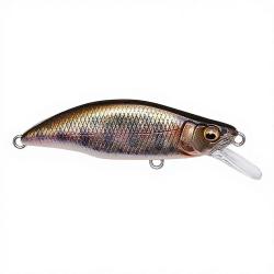 Poisson nageur MEGABASS Great hunting 46 humpback Takumi yamame