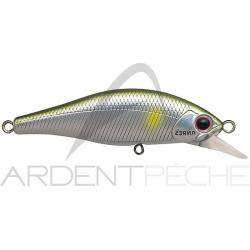Poisson nageur PALMS Alexandra 63 HW MAL51 Mad ayu