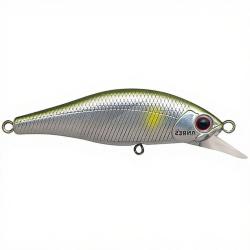 Poisson nageur PALMS Alexandra 63 HW MAL51 Mad ayu