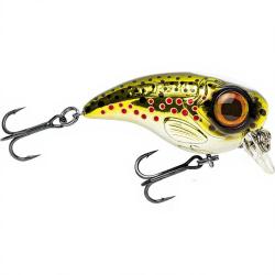 Crankbait SPRO Fat iris 50 Brown trout