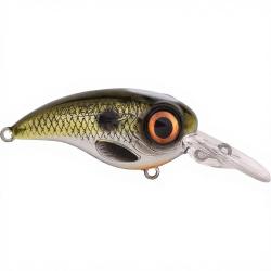Crankbait SPRO Fat iris 50 CR Shad